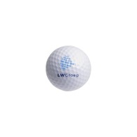Standard 2-layer golf ball